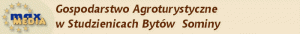 GOSPODARSTWO AGROTURYSTYCZNE W STUDZIENICACH GOSPODARSTWO AGROTURYSTYCZNE W STUDZIENICACH