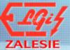 ELGIS S.C. PRZEDSIĘBIORSTWO PRODUKCYJNO USŁUGOWO HANDLOWE