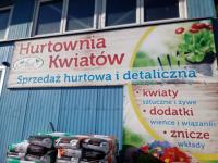 AWI HURTOWNIA KWIATÓW ŻYWYCH I SZTUCZNYCH KOSZALIN AWI HURTOWNIA KWIATÓW ŻYWYCH I SZTUCZNYCH KOSZALIN