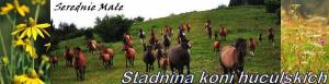 SEREDNIE. STADNINA KONI HUCULSKICH SMOLEŃSCY K.W. SEREDNIE. STADNINA KONI HUCULSKICH SMOLEŃSCY K.W.