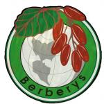 CENTRUM OGRODNICZE BERBERYS CENTRUM OGRODNICZE BERBERYS