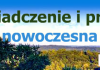WARDYŃSKI OKNA I DRZWI